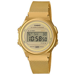 Casio Vintage