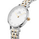 Daniel Wellington