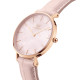 Daniel Wellington Daniel Wellington