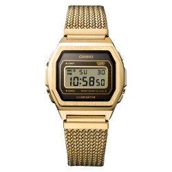 Casio Vintage