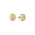 Guess JUBE02158JWYGT/U mindjuše Studs Party Swarovski Crystal Gold Tone Plated Stainless Steel 8mm