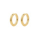 Brosway Aura minđuše alke BAU23 Timeless Hoops Gold Tone 25mm