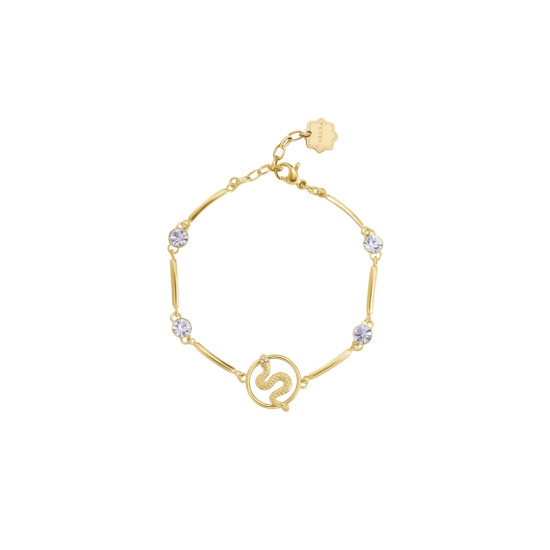 Brosway Chakra BHKB229 narukvica Snake Gold Tone Stainless Steel Swarovski Crystal-Transformacija i moć