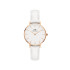 Daniel Wellington