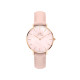Daniel Wellington Daniel Wellington