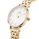 Daniel Wellington DW00100614 ženski sat Petite Gold Tone Minimalist White Dial 28mm