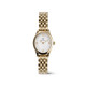 Daniel Wellington DW00100803 ženski sat Ophelia Mini Gold Tone Sunray Dial 22mm