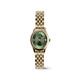 Daniel Wellington DW00100804 ženski sat Ophelia Mini Gold Tone Olive Green Sunray Dial 22mm