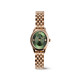 Daniel Wellington DW00100806 ženski sat Ophelia Mini Rose Gold Tone Olive Green Sunray Dial 22mm