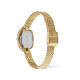 Daniel Wellington Daniel Wellington