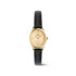 Daniel Wellington