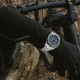 Festina F20724/2 muški sat Chrono Bike Chronograph Silver Stainless Steel Deep Blue Dial 45mm 20ATM