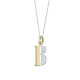 TI SENTO 6840ZY_B ogrlica Letters B Personal Signature Zirconia Sterling Silver 925 Yellow Gold Plated Slovo B