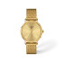 TISSOT T1432103302100 Everytime 34mm Full Gold 5ATM