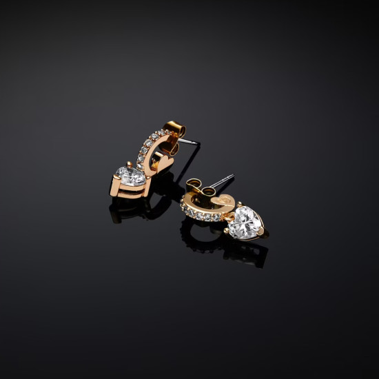 Chiara Ferragni minđuše